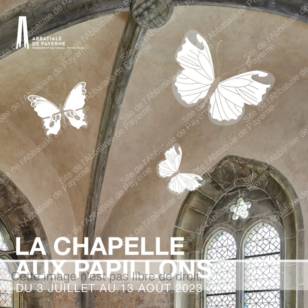 ReseauxSociaux_Papillons2023