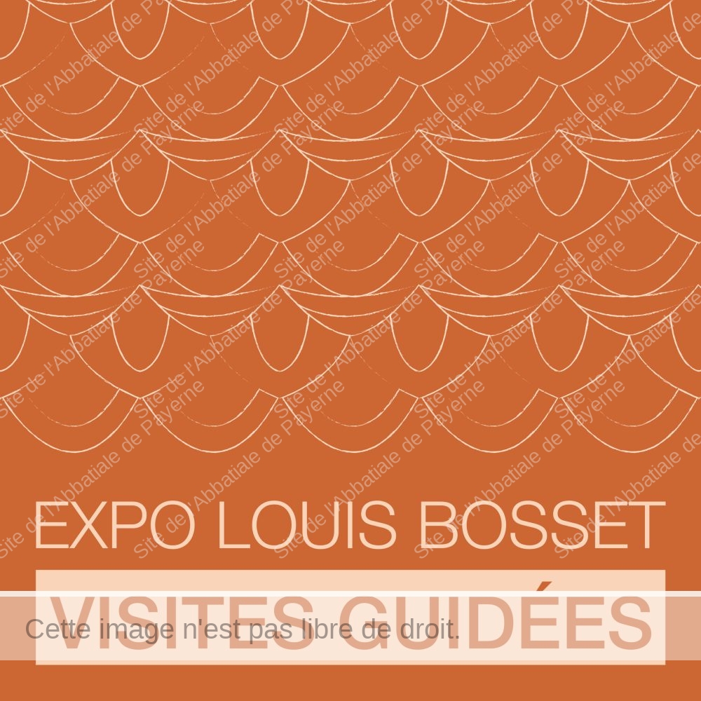 visites guide╠ües